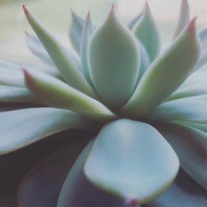 Meet your Posher, Cody